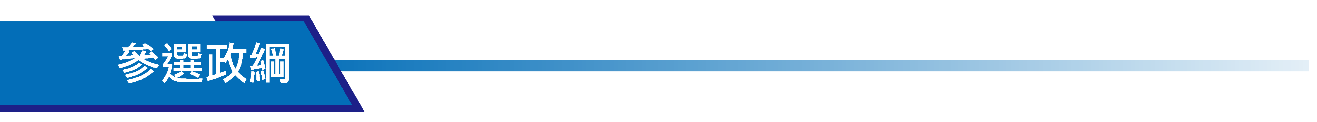 參選政綱